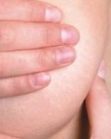 JARDUNALDIA /JORNADA