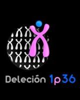 Haur lasterketa Delecion 1p36 Elkartearen  / Carrera infantil a favor de la Asociación Deleción 1p36