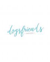 Charla sobre perros guia para personas diabeticas