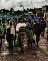 Exposición / Erakusketa: Testigos del olvido #2