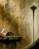 TXOTX SOLIDARIOA TOLOSAN!