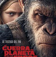 Agenda kultural irisgarria / Agenda cultural accesible