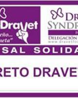 Euskaltegi Urumea - Mercadillo a favor de Síndrome de Dravet / Dravet Fundazioaren aldeko azoka