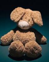 XVII Encuentro de Familias Acogedoras