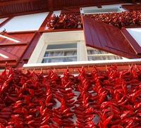 Excursión a Ezpeleta  (Francia)