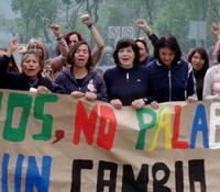 Zine eta kultura libre jardunaldiak / Jornadas de cine