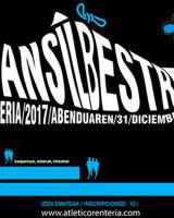 Errenteria: San Silbestre XV. elkartasun krosa / Carrera popular solidaria de San Silvestre.
