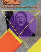 Convenio de Estambul: La importancia de conocer los instrumentos  de derechos humanos