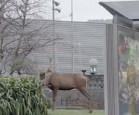 Musika eta elkartasuna / Música y solidaridad