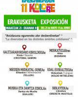 Erakusketa: Aniztasuna eguneroko alor desberdinetan