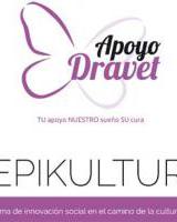 Proyecto social de Apoyodravet - Epikultur