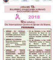 Bularreko minbiziaren aurkako nazioarteko eguna