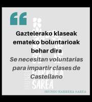 Irungo Harrera Sarea / Red de Apoyo de Irun - Boluntarioak behar dira!