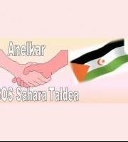 Antzuola: Sardina-jana Anelkarren eskutik