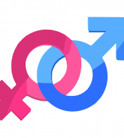 TALLER: DETECTANDO EL SEXISMO