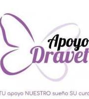 Mercadillo solidario Apoyodravet