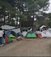 Elikagaien Bilketa - Errefuxiatu Kanpalekua