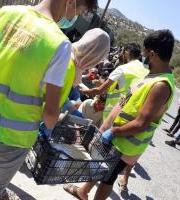 Zaporeak Proiektua - Laguntza behar dugu