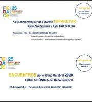 Kalte Zerebralari Buruzko Topaketak: Fase Crónica del Daño Cerebral