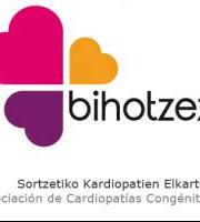 Bihotzezen laguntzailea izan nahi duzu