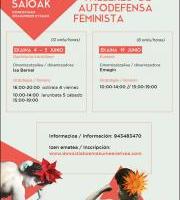 Formakuntza: Autodefentsa Feminista Ikastaroa