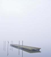 Servicio Psicológico, Pedagógico y Social