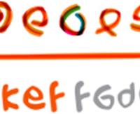 Gipuzkoako Kirol Egokituaren Federazioa - Udako Boluntariotza