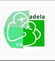 Adela EH - Juan Carlos Unzueren liburua