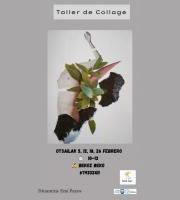 Bekoz Beko Elkartearen Tailerra