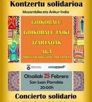 Kontzerru solidario bikaina...