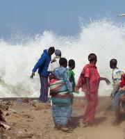 Erakusketa: Afrotopia