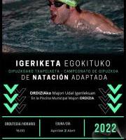 Igeriketa Egokituko Txapelketa