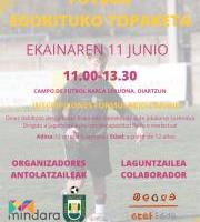 Futbol Egokituko Topaketa