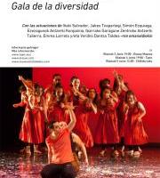 Aniztasunaren Gala Oiasso Museoan