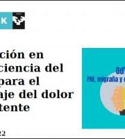 Ikastaroa: Educación en neurociencia del dolor para el abordaje del dolor persistente