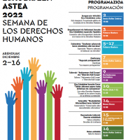 Irungo Giza Eskubideen Astea