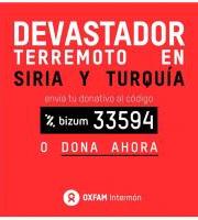 Emergentzia Siria eta Turkian