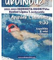 Urdinduz Igeriketa Egokituko Saria