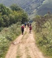 Agipaseren Mendi Tadearen Irteera