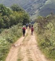 Agipaseren Mendi Tadearen Irteera