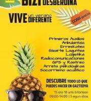 Izenematea: DYAren Udaleku Irekiak