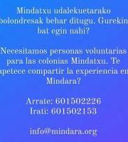 Mindatxu Udalekuetarako Boluntarioak