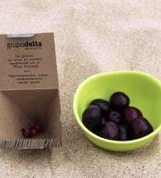 Kanpaina: Inpaktu handiak dituzten hondakin txikiak