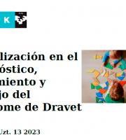 Ikastaroa: Actualización en el diagnóstico, tratamiento y manejo del síndrome de Dravet