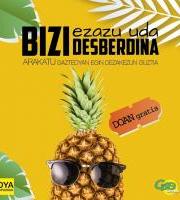 DYAren Udaleku Irekiak