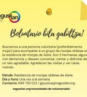 Nagusilan: Boluntario Bila Gabiltza