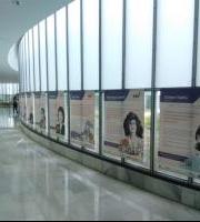 Erakusketa: Ekonomia birplanteatzen duten emakumeak