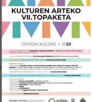 Kulturen Arteko VII. Topaketa