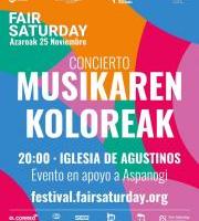 Elkartasun Kontzertua: Musikaren koloreak