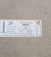 Bizi Bideren Gabonetako Loteria